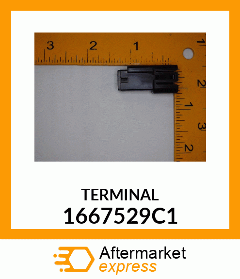 TERMINAL 1667529C1