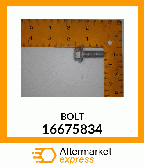 BOLT 16675834