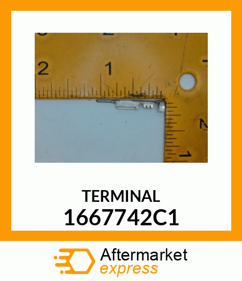 TERMINAL 1667742C1