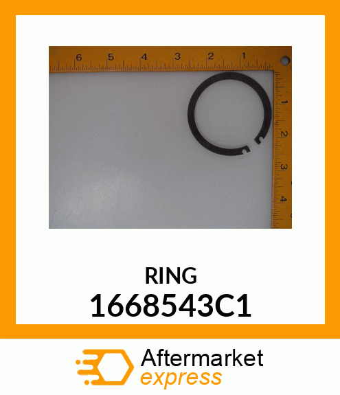 RING 1668543C1