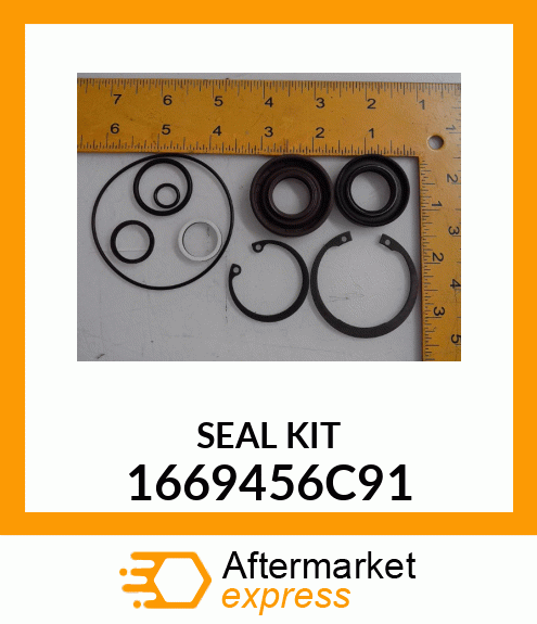 SEAL KIT 1669456C91