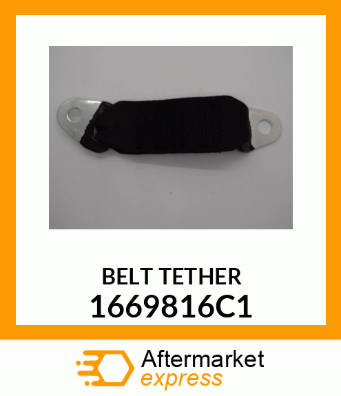 BELT TETHER 1669816C1