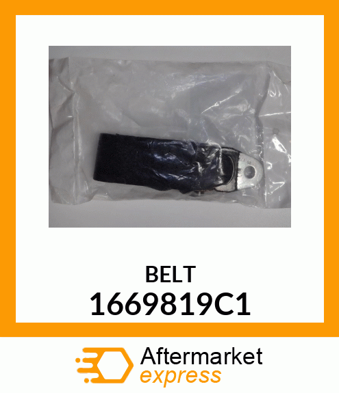 BELT 1669819C1