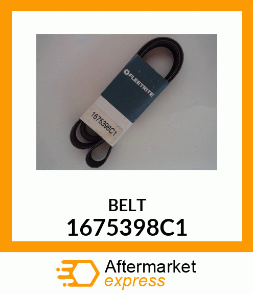 BELT 1675398C1