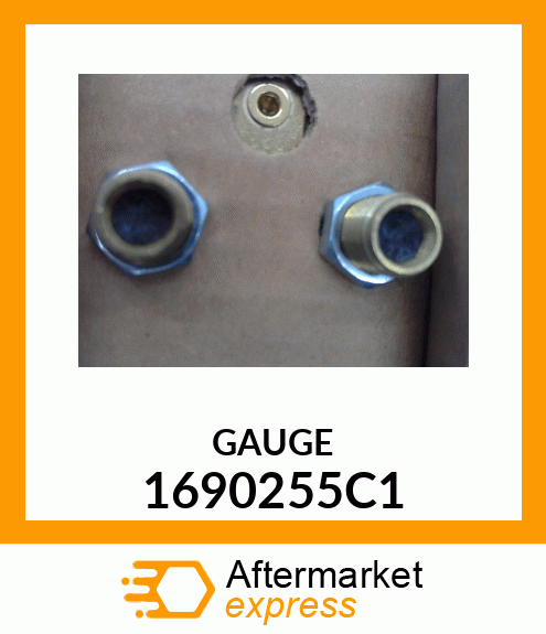 GAUGE 1690255C1