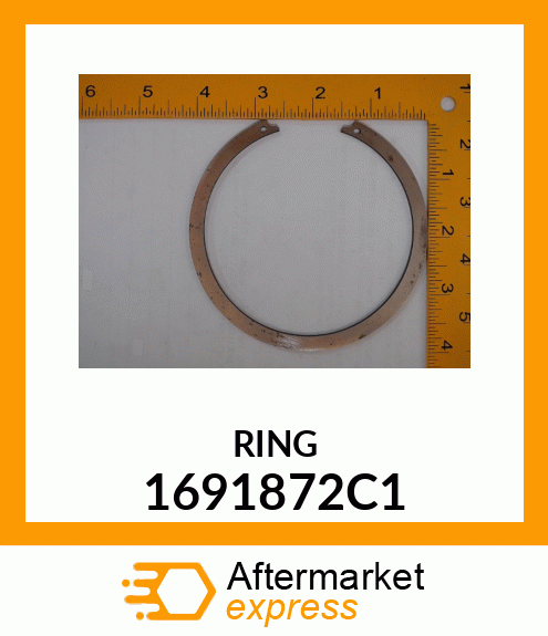 RING 1691872C1