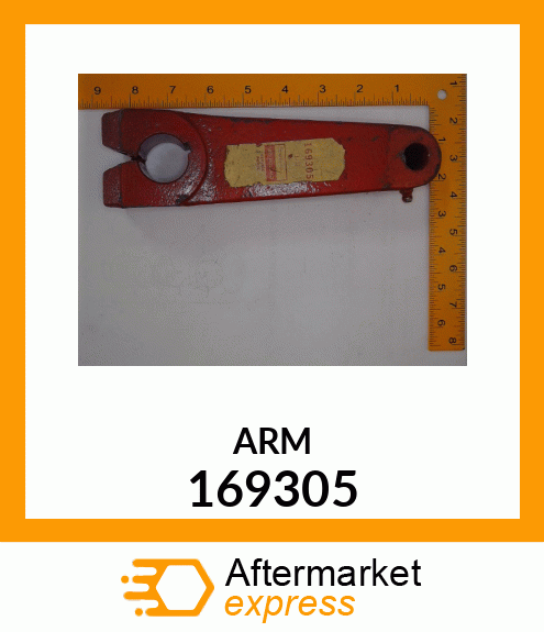 ARM 169305