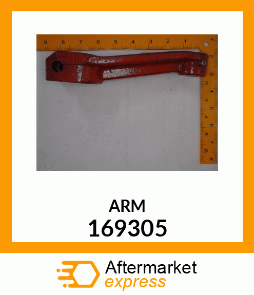 ARM 169305