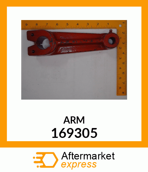 ARM 169305