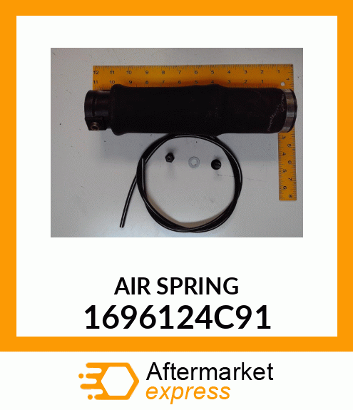 AIR SPRING 1696124C91