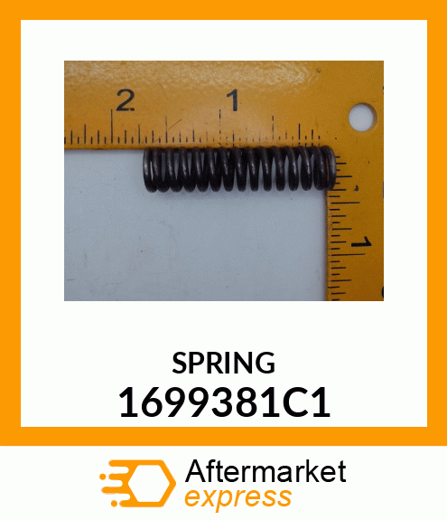 SPRING 1699381C1