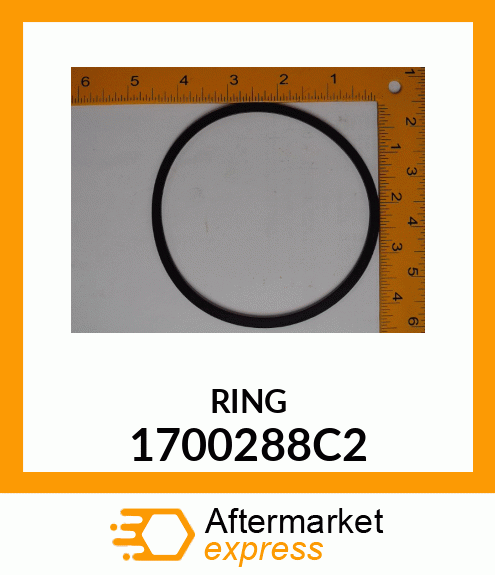 RING 1700288C2