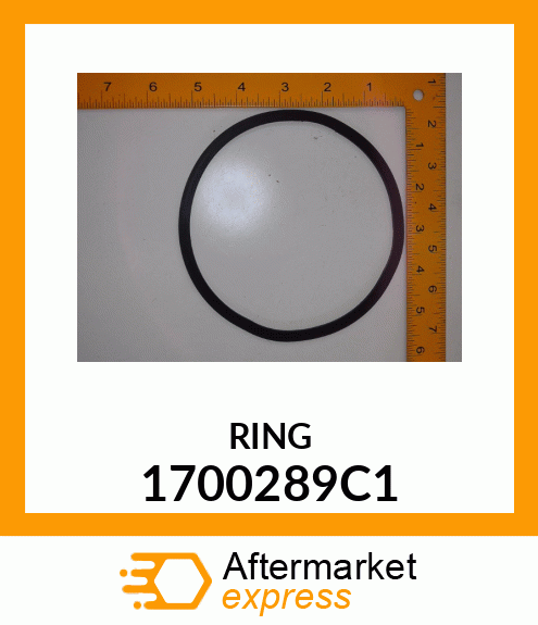 RING 1700289C1