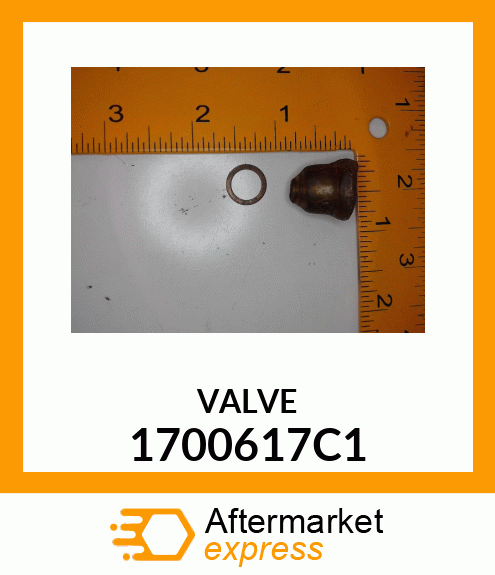 VALVE 1700617C1