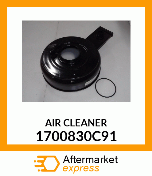 AIR CLEANER 1700830C91