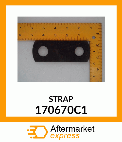 STRAP 170670C1