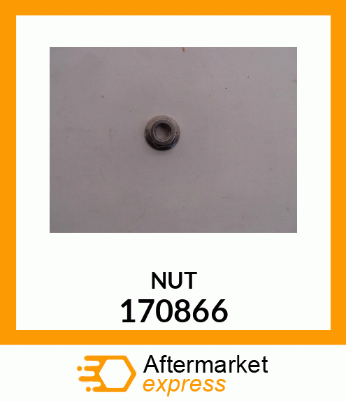 NUT 170866