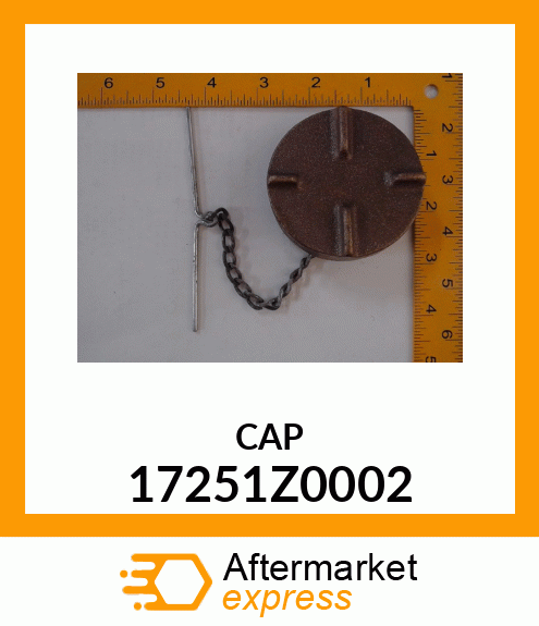 CAP 17251Z0002