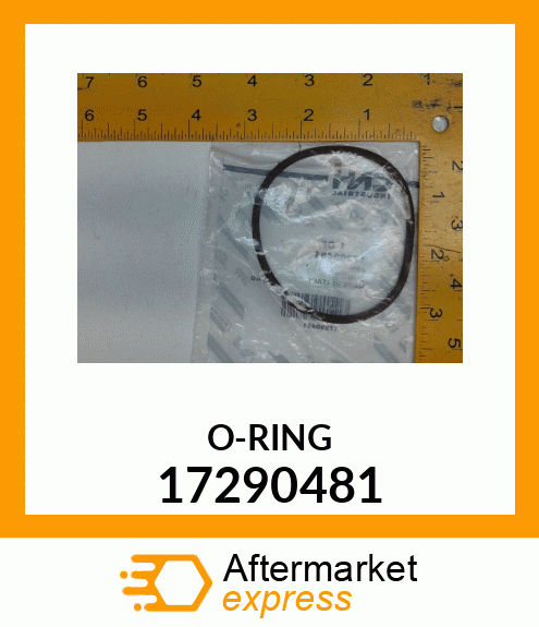 O-RING 17290481