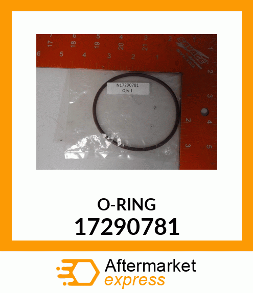 O-RING 17290781