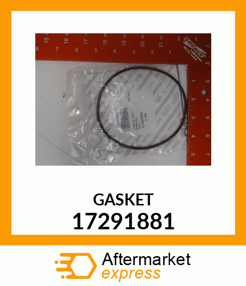 GASKET 17291881