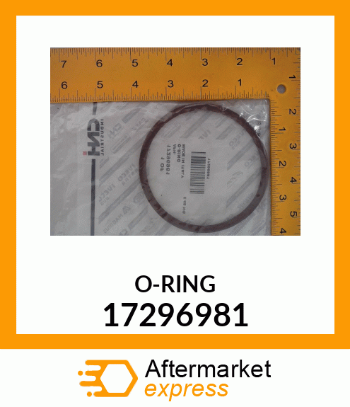 O-RING 17296981