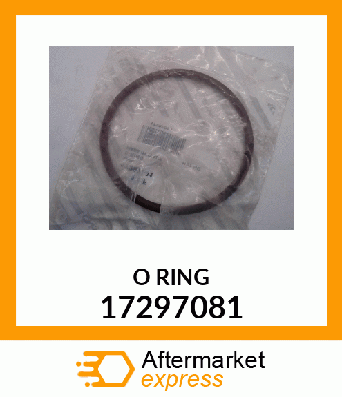 O RING 17297081