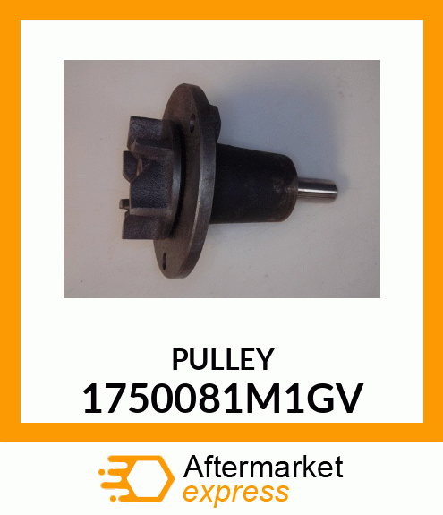 PULLEY 1750081M1GV