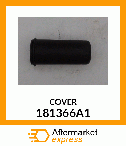 COVER 181366A1