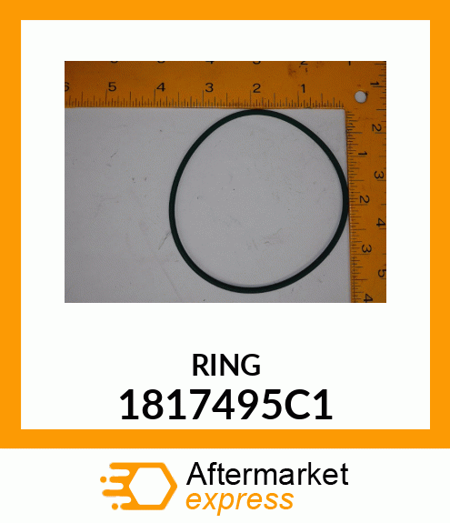 RING 1817495C1