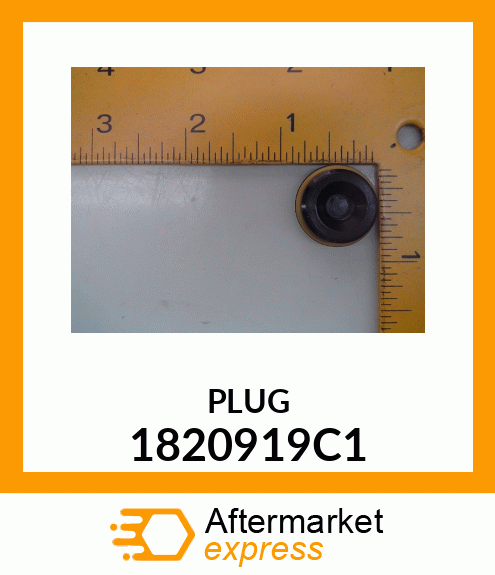 PLUG 1820919C1