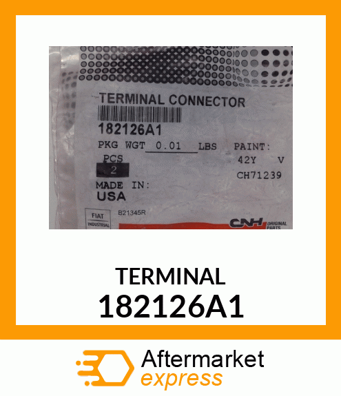 TERMINAL 182126A1