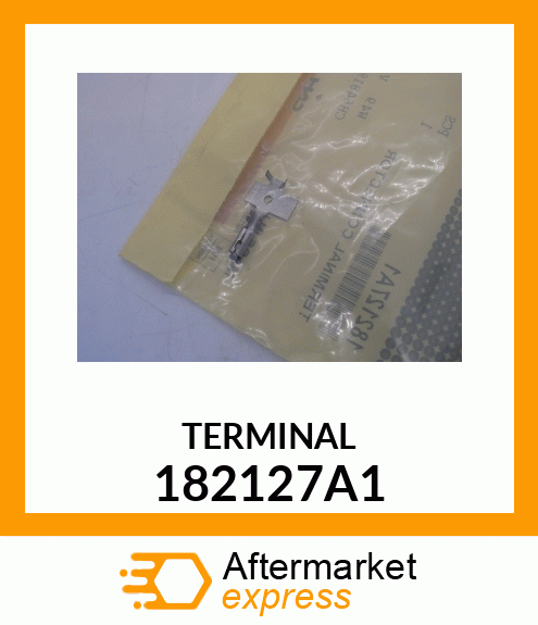 TERMINAL 182127A1