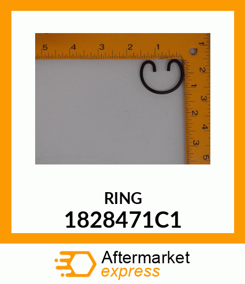 RING 1828471C1