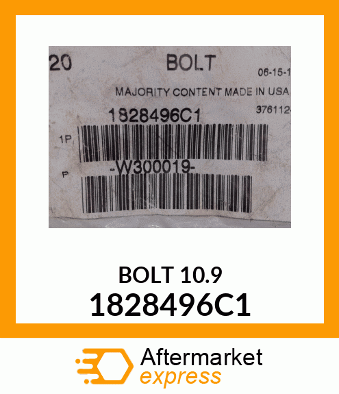 BOLT 10.9 1828496C1