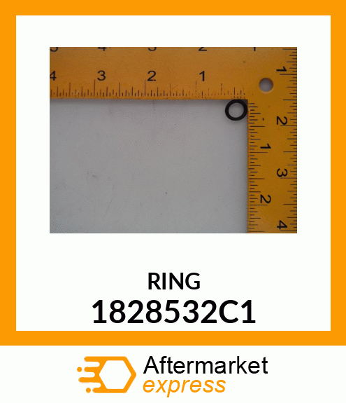 RING 1828532C1