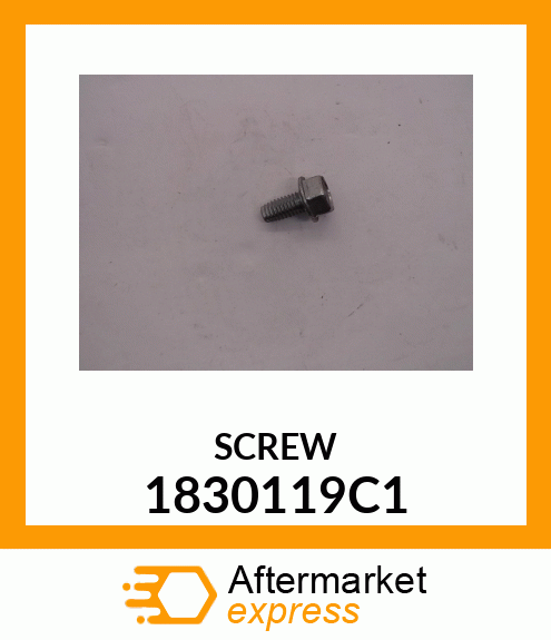 SCREW 1830119C1