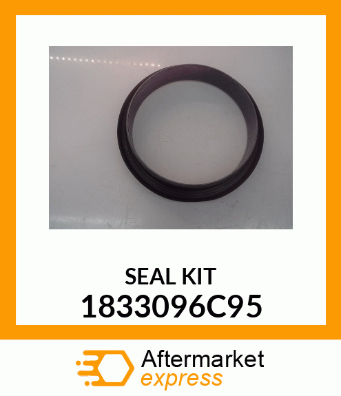 SEAL KIT 1833096C95