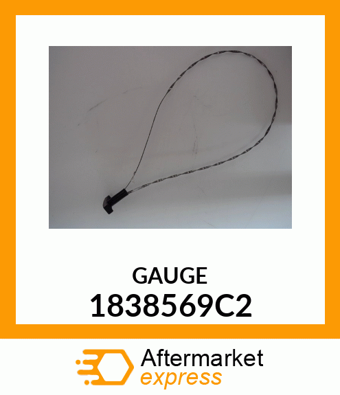 GAUGE 1838569C2