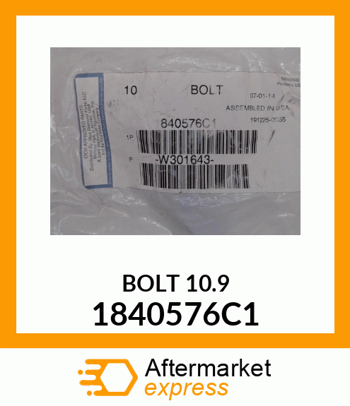 BOLT 10.9 1840576C1