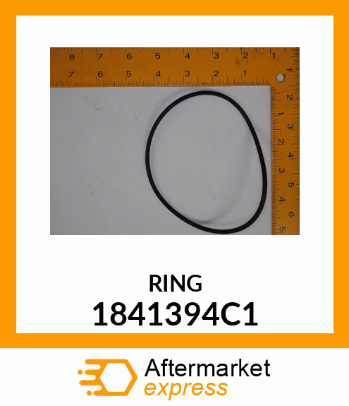 RING 1841394C1