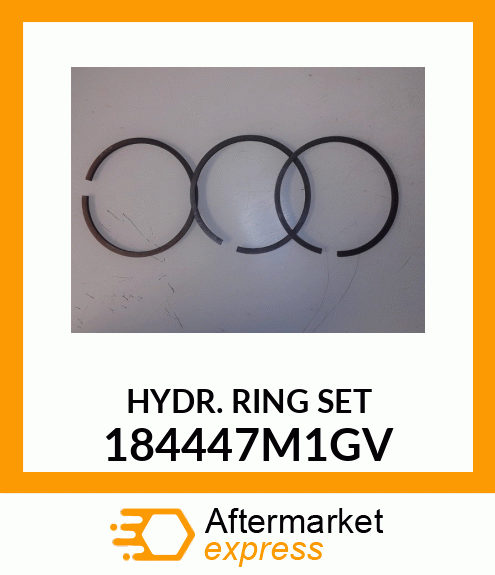 HYDR. RING SET 184447M1GV