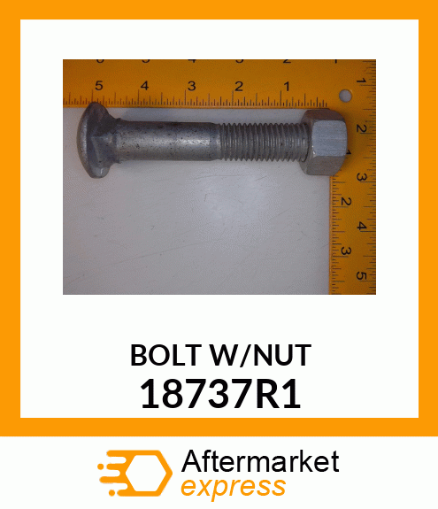 BOLT W/NUT 18737R1