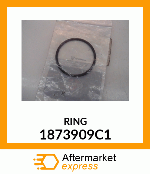 RING 1873909C1