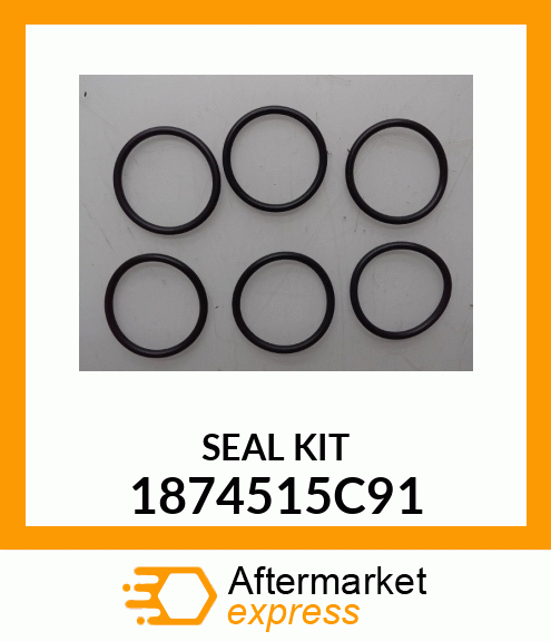 SEAL KIT 1874515C91