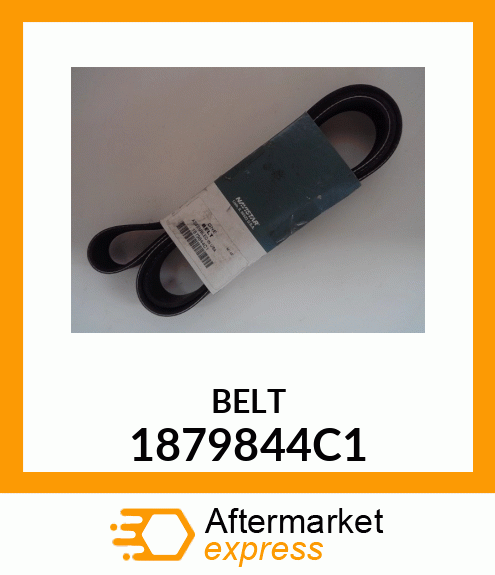 BELT 1879844C1