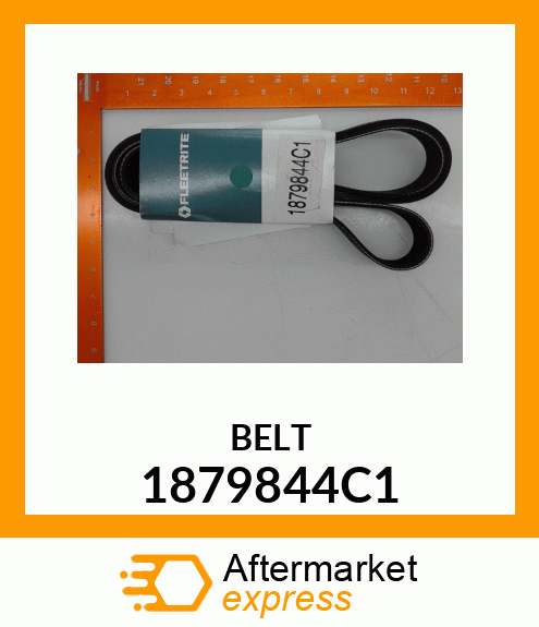 BELT 1879844C1