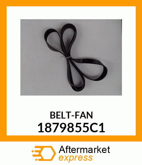 BELT-FAN 1879855C1