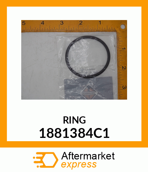 RING 1881384C1