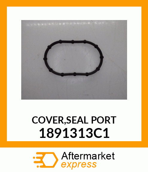 COVER,SEAL PORT 1891313C1